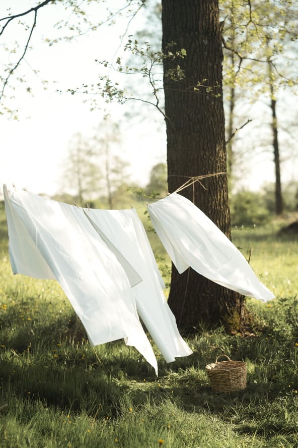 białe pranie suszące się na słońcu Esotiq